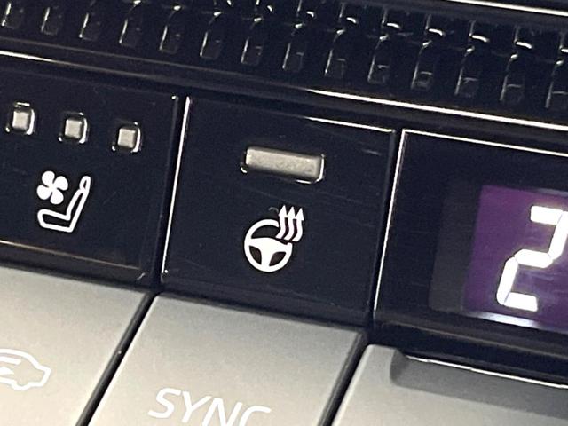 ランドクルーザー250 VX 禁煙車 サンルーフ 12型ディスプレイ 全周囲カメラ レーダークルーズ ブラインドスポットモニター 黒革 シートベンチレーション 電動リアゲート LEDヘッド 純正18インチアルミ ETC(10枚目)