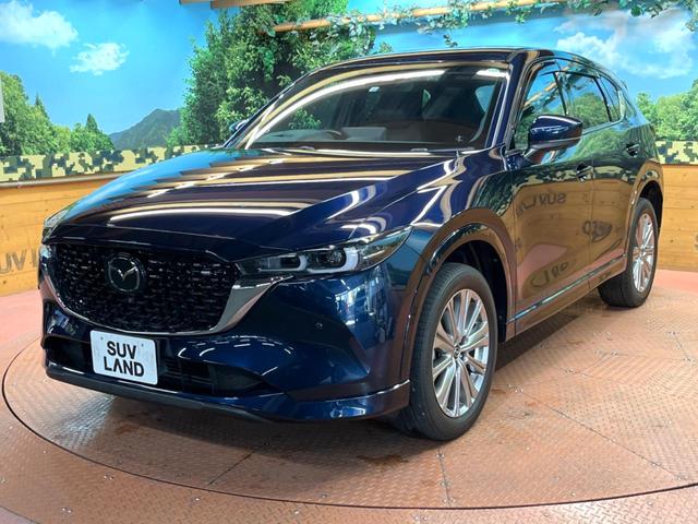ＣＸ－５ ＸＤ　エクスクルーシブモード　禁煙　ＢＯＳＥサウンド　純正１０型ナビ　全周囲カメラ　ブラインドスポットモニター　レーダークルーズ　電動リアゲート　クリアランスソナー　シートベンチレーション　ＬＥＤヘッド　純正１９インチアルミ（58枚目）