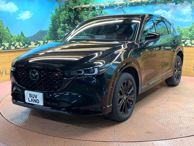 ＣＸ－５ ＸＤ　スポーツアピアランス　禁煙　サンルーフ　ＢＯＳＥサウンド　純正１０型ナビ　全周囲カメラ　ブラインドスポットモニター　レーダークルーズ　電動リアゲート　黒革　シートヒーター　ＬＥＤヘッド　純正１９インチアルミ　ＥＴＣ（60枚目）