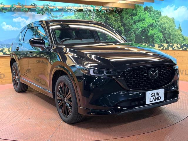 ＣＸ－５ ＸＤ　スポーツアピアランス　禁煙　サンルーフ　ＢＯＳＥサウンド　純正１０型ナビ　全周囲カメラ　ブラインドスポットモニター　レーダークルーズ　電動リアゲート　黒革　シートヒーター　ＬＥＤヘッド　純正１９インチアルミ　ＥＴＣ（61枚目）