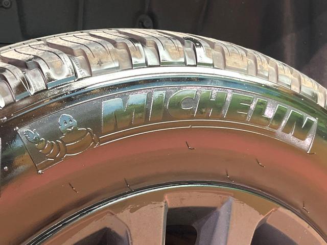 ランドクルーザープラド ＴＸ　Ｌパッケージ　マットブラックエディション　禁煙　７人　サンルーフ　ＢＩＧ－Ｘ１１型ナビ　バックカメラ　レーダークルーズ　ベージュ革　シートベンチレーション　ＬＥＤヘッド　オートハイビーム　純正１８インチアルミ　ルーフレール　ＥＴＣ（32枚目）