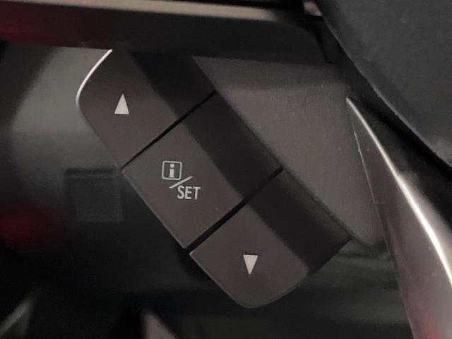 フォレスター ツーリング 禁煙車 アイサイトVer3 レーダークルーズ SDナビ フルセグTV バックカメラ デジタルミラー ハーフレザー メモリーシート シートヒーター パワーバックドア ETC LEDヘッド&フォグ ETC(29枚目)