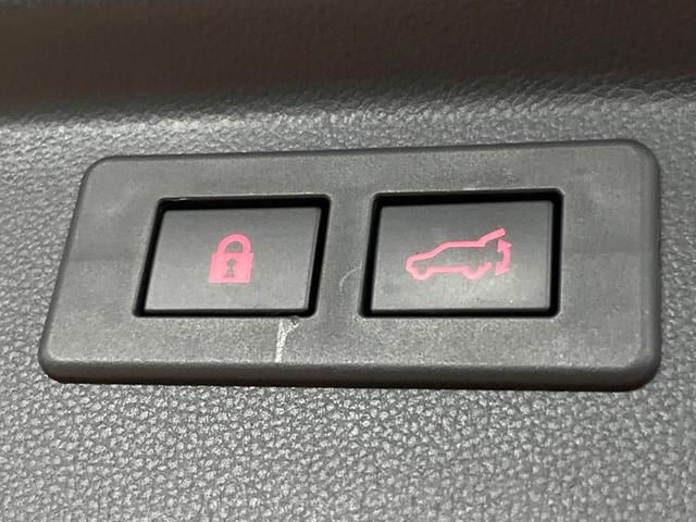 フォレスター ツーリング 禁煙車 アイサイトVer3 レーダークルーズ SDナビ フルセグTV バックカメラ デジタルミラー ハーフレザー メモリーシート シートヒーター パワーバックドア ETC LEDヘッド&フォグ ETC(66枚目)