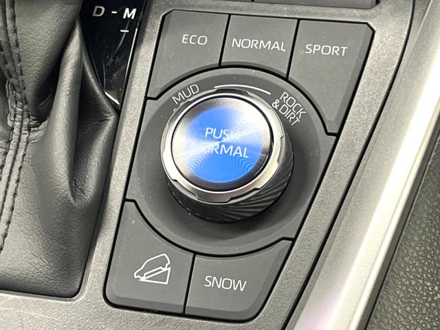 ＲＡＶ４ アドベンチャー　禁煙　純正１０型ナビフルセグＴＶ　バックカメラ　ブラインドスポットモニター　レーダークルーズ　ＬＥＤヘッド　オートハイビーム　メモリーシート　シートベンチレーション　純正１９インチアルミ　ＥＴＣ（52枚目）