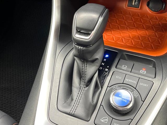 ＲＡＶ４ アドベンチャー　禁煙　純正１０型ナビフルセグＴＶ　バックカメラ　ブラインドスポットモニター　レーダークルーズ　ＬＥＤヘッド　オートハイビーム　メモリーシート　シートベンチレーション　純正１９インチアルミ　ＥＴＣ（53枚目）