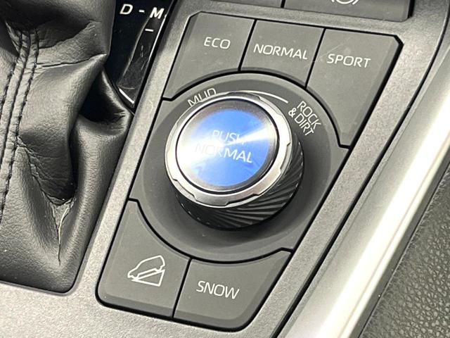 ＲＡＶ４ アドベンチャー　禁煙　純正９型ナビ　バックカメラ　ブラインドスポットモニター　レーダークルーズ　電動リアゲート　パワーシート　シートベンチレーション　ＬＥＤヘッド　オートハイビーム　純正１９インチアルミ　ＥＴＣ（51枚目）