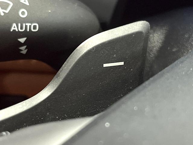 ヴェルファイアハイブリッド Ｚ　プレミア　ガラスルーフ　両側電動ドア　純正ＳＤナビ　後席モニター　全周囲カメラ　衝突被害軽減システム　禁煙車　レザーシート　前席シートエアコン　リアシートエアコン　前後席パワーシート　コーナーセンサー（45枚目）