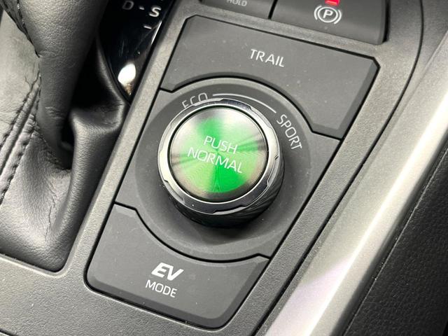 RAV4 ハイブリッドG モデリスタエアロ 純正10型ナビ 全周囲カメラ レーダークルーズ セーフティセンス ブラインドスポットモニター デジタルミラー パワーバックドア ベンチレーション LEDヘッド 純正18インチアルミ(49枚目)