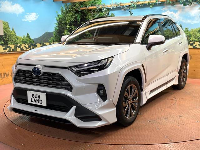RAV4 ハイブリッドG モデリスタエアロ 純正10型ナビ 全周囲カメラ レーダークルーズ セーフティセンス ブラインドスポットモニター デジタルミラー パワーバックドア ベンチレーション LEDヘッド 純正18インチアルミ(52枚目)