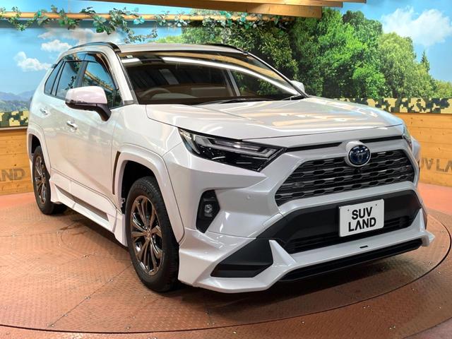 RAV4 ハイブリッドG モデリスタエアロ 純正10型ナビ 全周囲カメラ レーダークルーズ セーフティセンス ブラインドスポットモニター デジタルミラー パワーバックドア ベンチレーション LEDヘッド 純正18インチアルミ(53枚目)