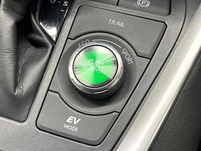 RAV4 ハイブリッドG 禁煙車 モデリスタエアロ 10型ディスプレイ 全周囲カメラ デジタルミラー ブラインドスポットモニター 合皮シート メモリーシート ベンチレーション パワーバックドア LEDヘッド&フォグ ETC(52枚目)