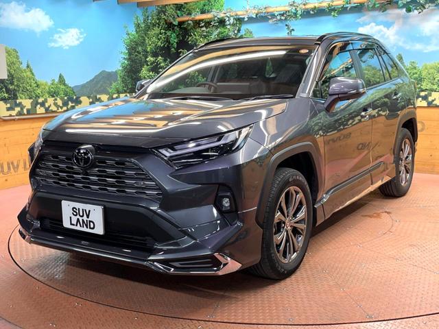 RAV4 ハイブリッドG 禁煙車 モデリスタエアロ 10型ディスプレイ 全周囲カメラ デジタルミラー ブラインドスポットモニター 合皮シート メモリーシート ベンチレーション パワーバックドア LEDヘッド&フォグ ETC(54枚目)