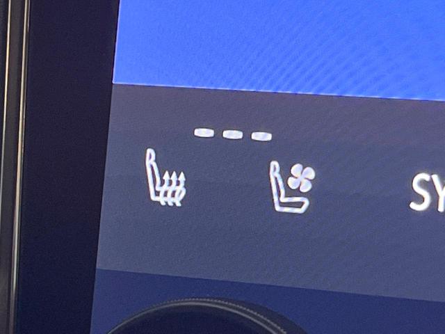 ヴェルファイアハイブリッド Ｚ　プレミア　禁煙車　トヨタチームメイト　フリップダウン　１４型ディスプレイ　全周囲カメラ　レーダークルーズ　両側電動スライドドア　デジタルミラー　本革シート　ベンチレーション　メモリーシート　パワーバックドア（54枚目）