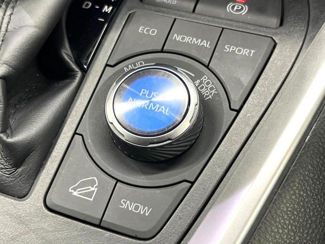 ＲＡＶ４ アドベンチャー　オフロードパッケージＩＩ　禁煙　１０型ディスプレイ　全周囲カメラ　レーダークルーズ　ブラインドスポットモニター　ＬＥＤヘッド＆フォグ　オートハイビーム　合皮シート　メモリーシート　ベンチレーション　ステアリングヒーター　ＥＴＣ（50枚目）