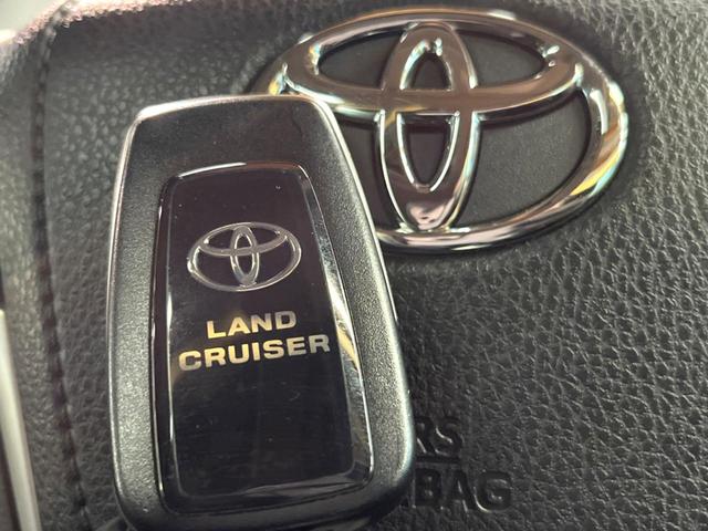 ランドクルーザープラド TX Lパッケージ マットブラックエディション 禁煙 7人 サンルーフ 純正9型ナビ 全周囲カメラ ブラインドスポットモニター レーダークルーズ LEDヘッド オートハイビーム 黒革 シートベンチレーション 純正18インチアルミ ETC(45枚目)