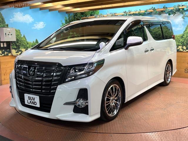 アルファード 2.5S 禁煙車 BIG-X9型ナビ 後席モニター バックカメラ 両側パワスラ ドラレコ ETC LEDヘッド 19インチアルミ スマートキー フルセグTV オートダブルエアコン デュアルエアコン オートライト(49枚目)