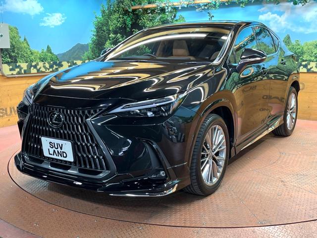 ＮＸ ＮＸ３５０ｈ　バージョンＬ　禁煙　サンルーフ　モデリスタエアロ　純正１４型ディスプレイ　全周囲カメラ　ブラインドスポットモニター　レーダークルーズ　デジタルミラー　三眼ＬＥＤヘッド　茶革　シートベンチレーション　ＥＴＣ（59枚目）
