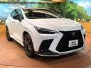 NX350h Fスポーツ 禁煙 サンルーフ 純正14型ナビ 全周囲カメラ ブラインドスポットモニター レーダークルーズ 電動リアゲート 黒革 シートベンチレーション 三眼LEDヘッド オートハイビーム 純正20アルミ ETC(65枚目)
