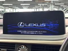 ڣ磻ɥʥӡ۹鴶ȥѥȤΤ緿磻ɥʥӤƼ索ǥϤ󡢲Ĺ磻ɲ̤ǤΥޥåףʬɽʤɡ⤤ʥӤǤ 4