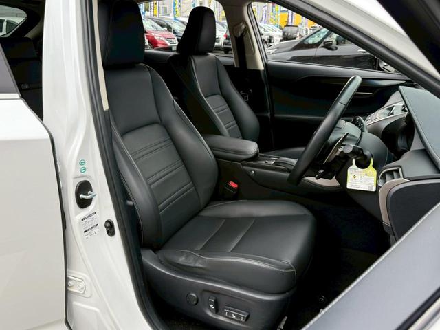 ＮＸ ＮＸ２００ｔ　Ｉパッケージ（8枚目）