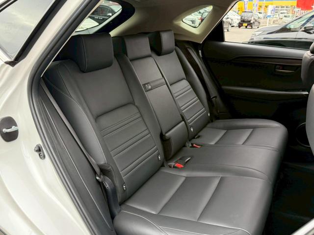 ＮＸ ＮＸ２００ｔ　Ｉパッケージ（17枚目）