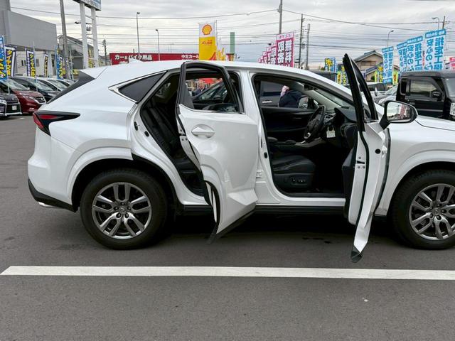 ＮＸ ＮＸ２００ｔ　Ｉパッケージ（18枚目）