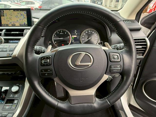 ＮＸ ＮＸ２００ｔ　Ｉパッケージ（28枚目）