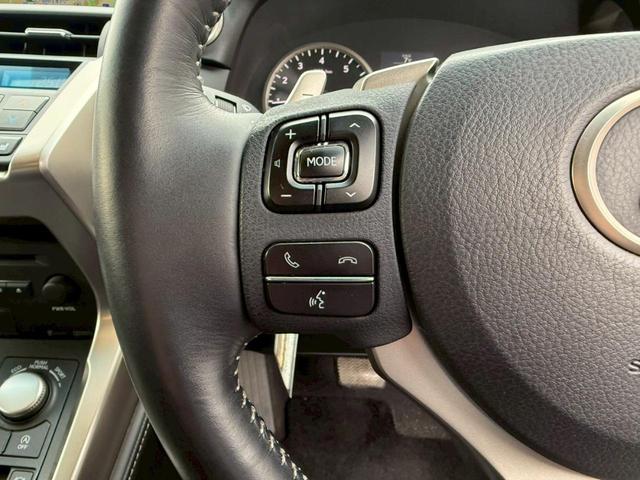 ＮＸ ＮＸ２００ｔ　Ｉパッケージ（30枚目）