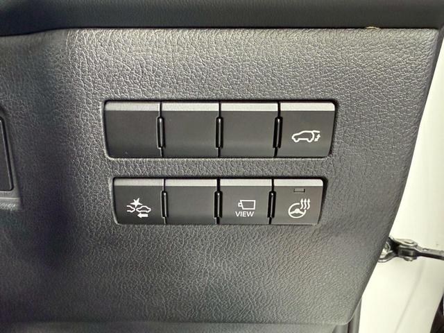 ＮＸ ＮＸ２００ｔ　Ｉパッケージ（38枚目）