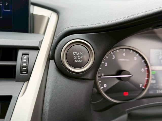 ＮＸ ＮＸ２００ｔ　Ｉパッケージ（40枚目）