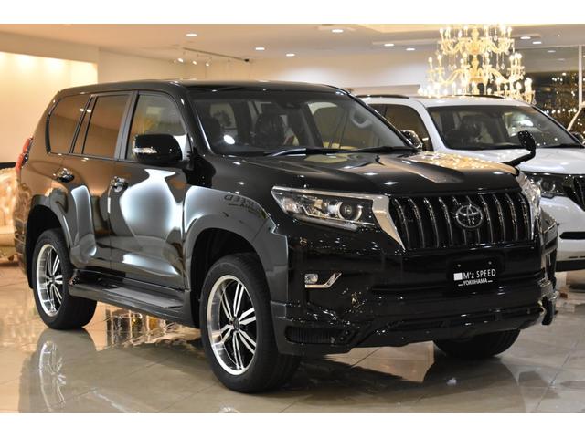 TX Lパッケージ 7人乗 新車本革レザーシート ムーンルーフ インテリジェンスクリアランスソナー アルパイン9型ナビパッケージ フロントグリル 4本出しマフラー 20インチホイール(69枚目)