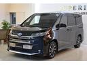 ハイブリッドＳ－Ｚ　トヨタ純正１０．５インチナビ　後席ＢＩＧ１４型モニター　快適利便ＰＫＧ　バックカメラ　パワーバックドア　両側電動ドア　ＥＴＣ２．０　ＣＤ．ＤＶＤ　三眼ＬＥＤ（33枚目）