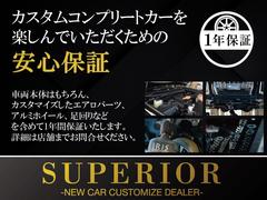 ���ɥ��롼�����ץ�� �ԣء��̥ѥå����������;衡�ܳץ����ȡ��ࡼ��롼�� 0530184A30251109W001 6