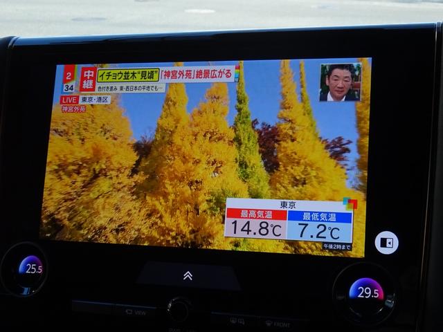 アルファード Ｚ　◎左右独立ムーンルーフ◎デジタルインナーミラー◎ＢＳＭ◎パノラミックビューモニター◎前後ドライブレコーダー◎左右パワースライドドア◎パワーバックドア◎スマートキー２個（28枚目）