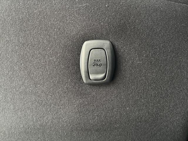 アクティバX リミテッド SAIII SDナビ バックカメラ Bluetooth ETC ドライブレコーダー オートエアコン オートライト(43枚目)
