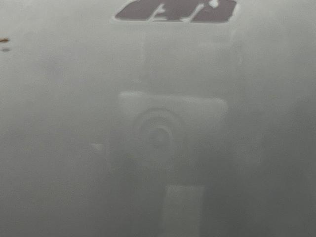 セレナ ＸＶ　純正１０型ナビ　両側電動ドア　全周囲カメラ　衝突被害軽減システム　ドラレコ　コーナーセンサー　スマートキー　ＬＥＤヘッド　ビルトインＥＴＣ　クルコン　車線逸脱警報　オートエアコン　リアエアコン（28枚目）