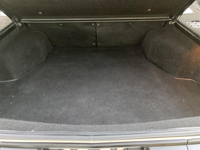 スタリオン ＧＳＲ－ＶＲ（18枚目）