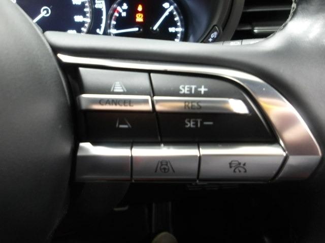 �l�q�b�b�i�}�c�_���[�_�[�N���[�Y�R���g���[���j�͐�s�ԂƂ̎ԊԂ��ێ����Ȃ���Ǐ]���s���s���A�������ł̃h���C�o�[���S���y�������Ă���܂��B