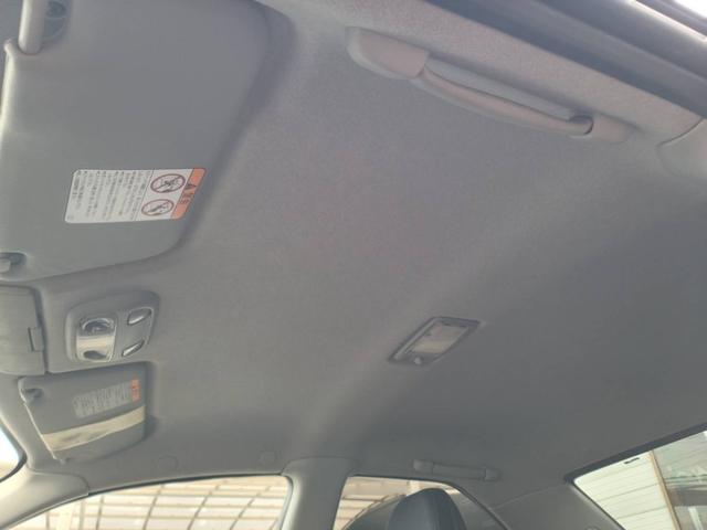 �V��͖ڗ��傫�Ȑ��݂�^�o�R�̏ł��Ղ������Y��ł��I�I