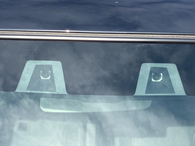 ハスラー タフワイルド　３型（4枚目）