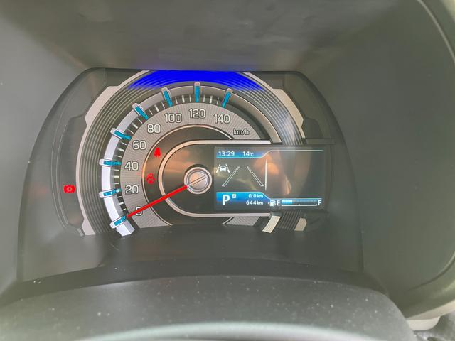 ハスラー タフワイルド　３型（11枚目）