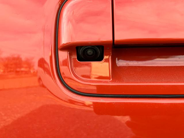 ハスラー タフワイルド　３型（31枚目）