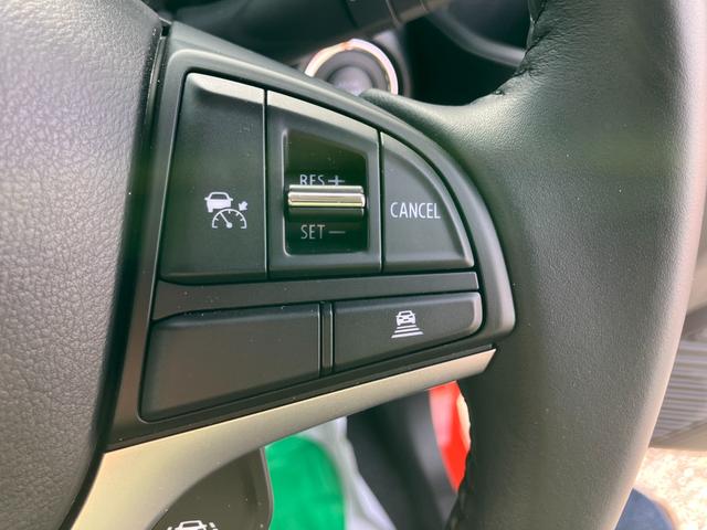 ハスラー タフワイルド　３型（43枚目）