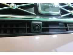 ̥ۥեȥ롢ɥߥ顼Хåɥ˥餬դƤޤ֤λ˥ʥӲ̤Ǽְ֤ǧǤޤ㳲ʪϤʤʡʤɳǧǤư¿ʥʥӤϥåդƤĺޤ 5