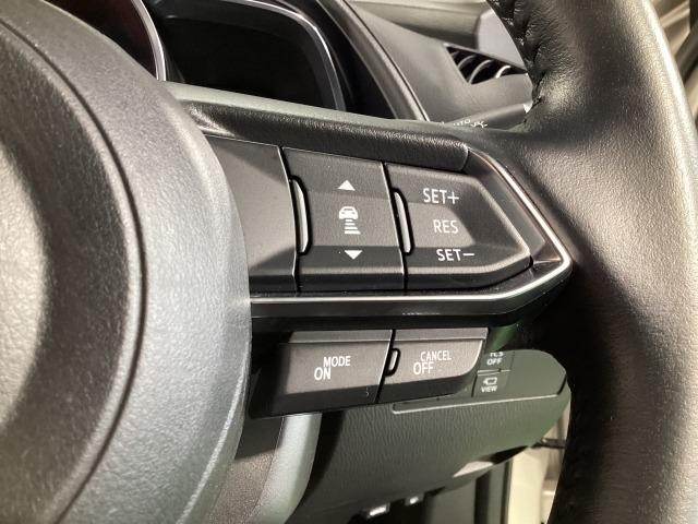 ＣＸ－３ １．５　１５Ｓ　ツーリング　ワンオーナー　全周囲カメラ　ＥＴＣ２．０　スマートシティブレーキ　全方位カメラ　ＵＳＢ　エアコン　フルセグ　ＬＥＤヘッドライト　クリアランスソナー　ＥＴＣ車載器　スマートキー　アイドリングストップ（23枚目）