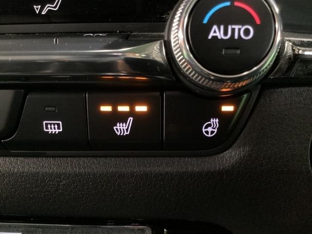 CX-30 2.0 20S プロアクティブ ツーリングセレクション 4W ワンオーナー 全周囲カメラ ETC レーダークルーズC 車線逸脱防止 Fカメラ ナビTV DVDプレーヤー ドライブレコーダー 4WD フルセグTV アドバンスドキー Pシート LEDヘッドライト(21枚目)