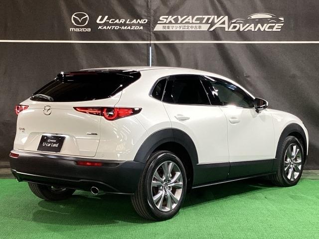 CX-30 2.0 20S プロアクティブ ツーリングセレクション 4W ワンオーナー 全周囲カメラ ETC レーダークルーズC 車線逸脱防止 Fカメラ ナビTV DVDプレーヤー ドライブレコーダー 4WD フルセグTV アドバンスドキー Pシート LEDヘッドライト(38枚目)