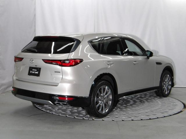 ＣＸ－６０ ２．５　２５Ｓ　Ｌパッケージ　ワンオーナー　全周囲カメラ　ＥＴＣ２．０　ＡＣＣ　ＬＥＤライト　ナビＴＶ　本革　１オーナー　パワーシート　衝突軽減　ＵＳＢ　メモリナビ　アイドリングストップ　横滑り防止装置　コーナーソナー　キ－レス（38枚目）