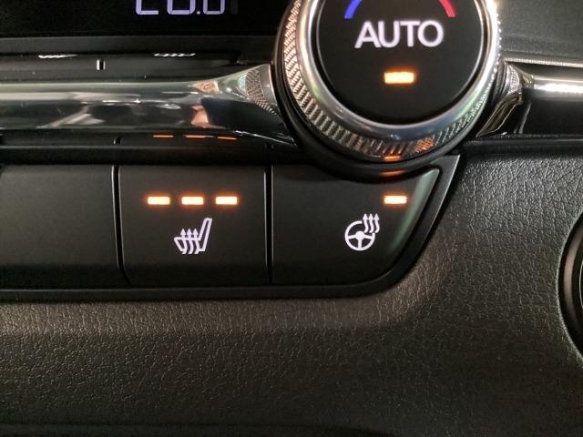 ＣＸ－３０ ２．０　２０Ｓ　ｉ　セレクション　元試乗車　全周囲カメラ　ＥＴＣ　パワーリフトゲート　ＥＴＣ　オートライト　試乗車　３６０°カメラ　ＬＥＤ　ＭＲＣＣ（21枚目）