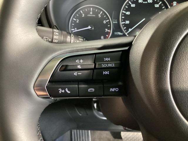 ＣＸ－３０ ２．０　２０Ｓ　ｉ　セレクション　元試乗車　全周囲カメラ　ＥＴＣ　パワーリフトゲート　ＥＴＣ　オートライト　試乗車　３６０°カメラ　ＬＥＤ　ＭＲＣＣ（26枚目）